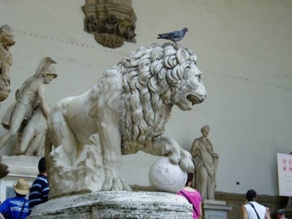 Флоренція, 2008 рік. Біля міської ратуші на плацу зібрано скульптурні шедеври різних відомих митців, у тому числі Мікеланджело. Але сподобався оцей могутній лев, на голові якого мирно сидів простий голуб. Алегорія життя. Автор Ольга Харів