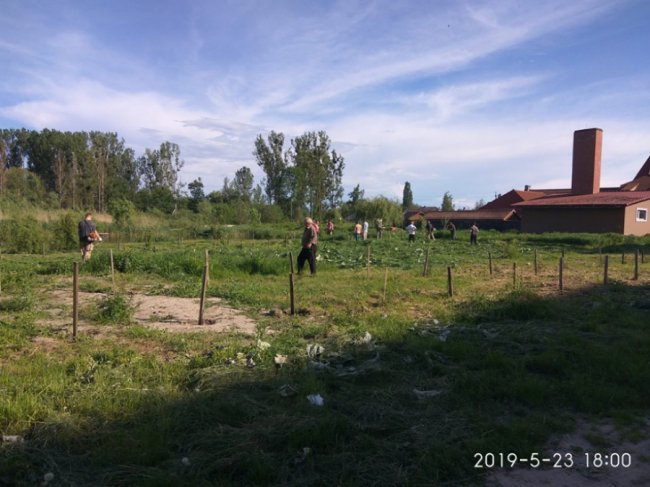 Жителі волинського міста навели лад поблизу ставка. ФОТО