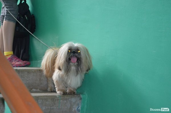 З будинку, що обвалився, виселяють людей