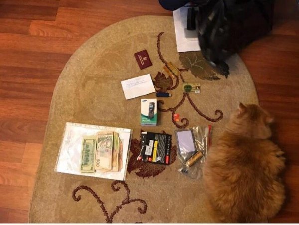 СБУ показала фото затримання на хабарі волинського чиновника