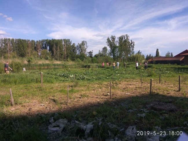 Жителі волинського міста навели лад поблизу ставка. ФОТО