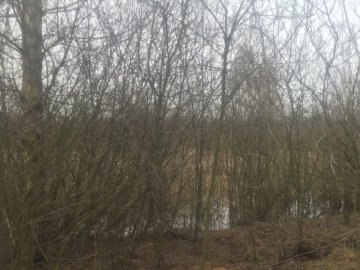 У Нацпарку на Волині можна орендувати земельну ділянку за 600 гривень