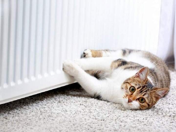 У Луцьку припинили опалення для дитсадків та шкіл