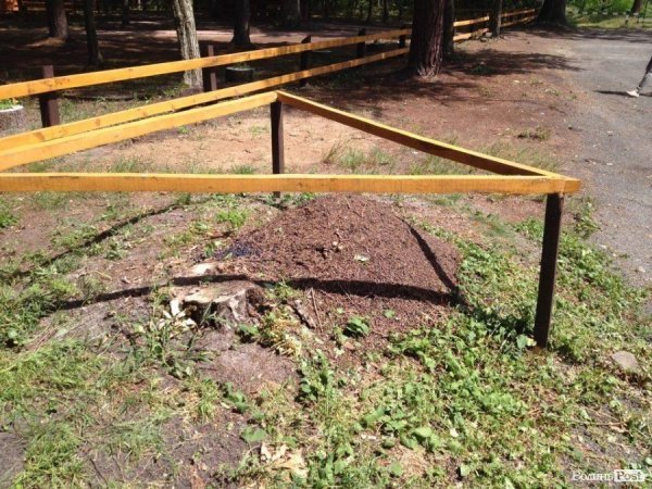 Рекреаційні пункти Волині - природа, затишок та економний відпочинок. ФОТО