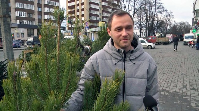 У Луцьку перевірили законність продажу ялинок, знайшли порушення. ФОТО, ВІДЕО