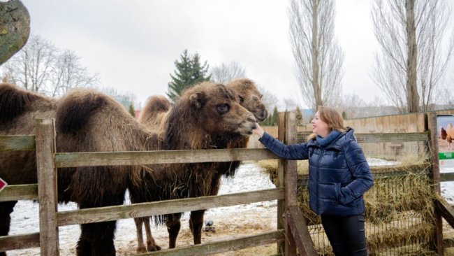 Як зимують тварини у Луцькому зоопарку за умов відключення світла. ВІДЕО