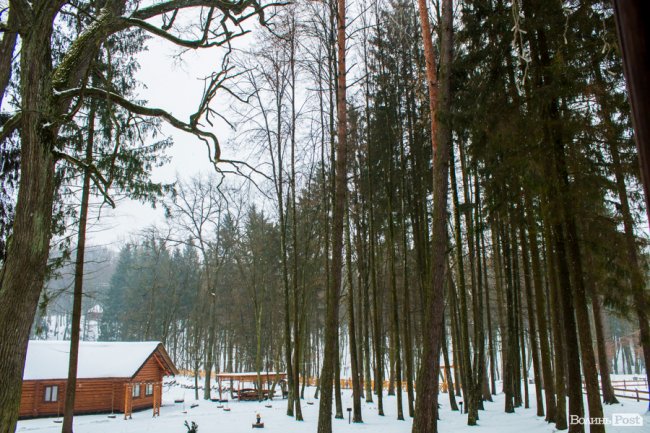 Подорож в казку: особливим людям влаштували прогулянку «волинською Швейцарією». ФОТО