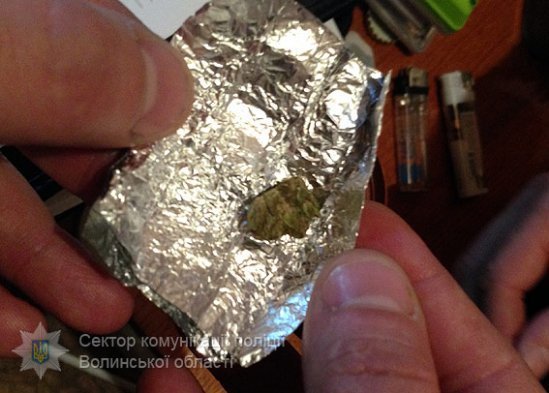 Затримали волинянина, який вирощував елітний канабіс