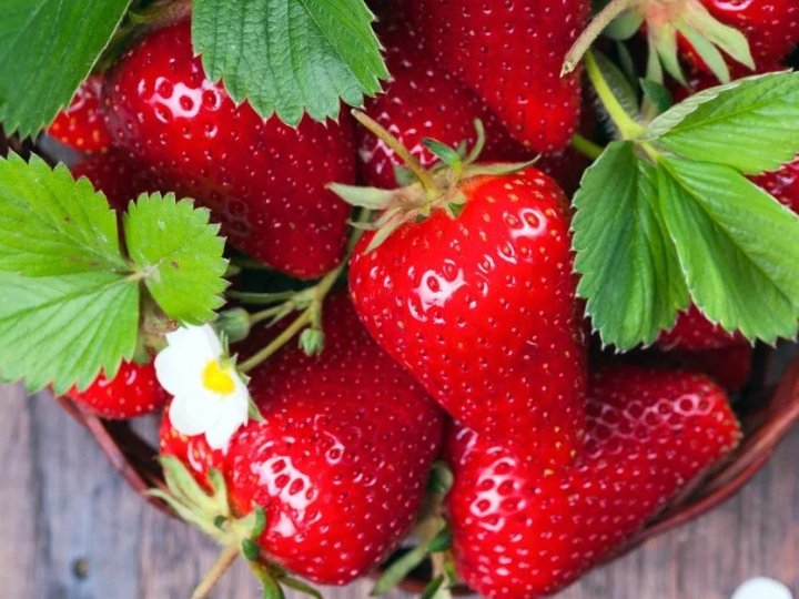 Не лише цитрусові: фрукти з рекордним вмістом вітаміну С