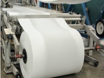 Тонна макулатури рятує від вирубки близько 25 дорослих дерев*