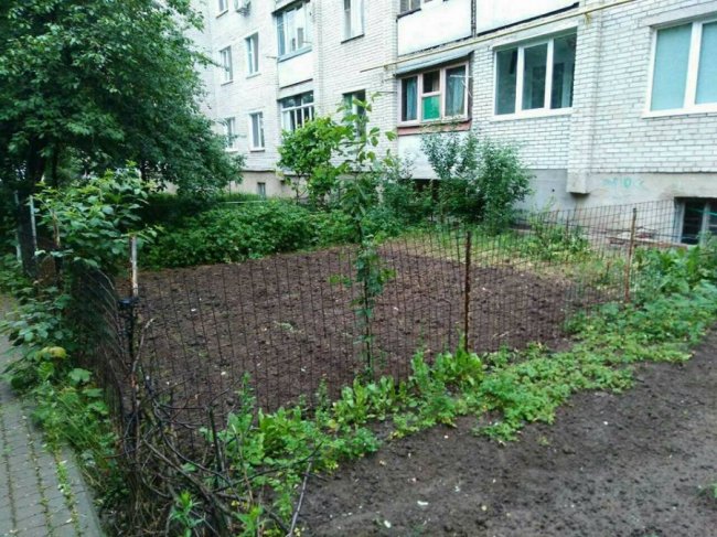 Муніципали забрали обмежувачі руху з двору у Луцьку. ФОТО