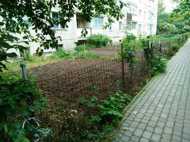 Муніципали забрали обмежувачі руху з двору у Луцьку. ФОТО