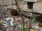 Двох волинян покарають за сміття на березі Стиру. ФОТО
