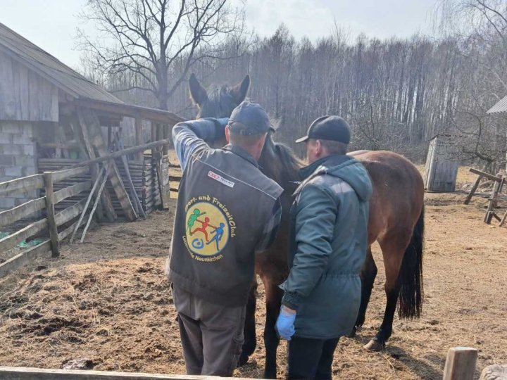 На Волині вакцинують від сказу тварин