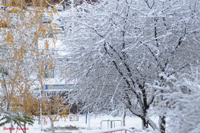 Волинський фотограф поділився казковими світлинами засніженого Луцька