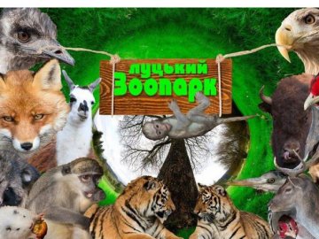 Луцький зоопарк підняв ціну на квитки, але будуть акційні пропозиції