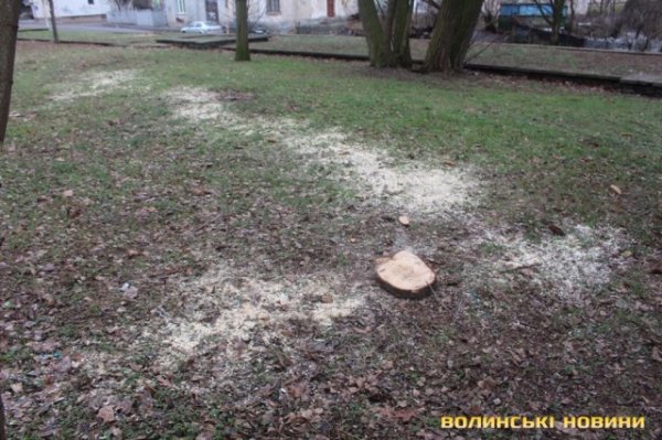 На луцькому Меморіалі ріжуть дерева