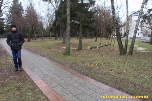 На луцькому Меморіалі ріжуть дерева