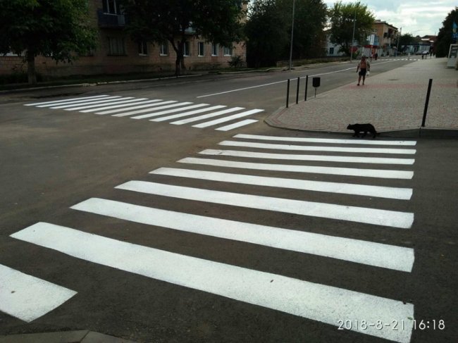 У центрі Горохова – нова розмітка. ФОТО