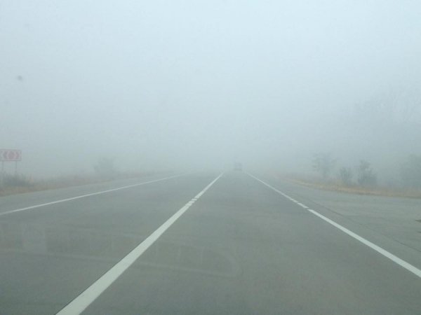 Через туман на трасі Київ-Ковель частково обмежено рух транспорту. ФОТО