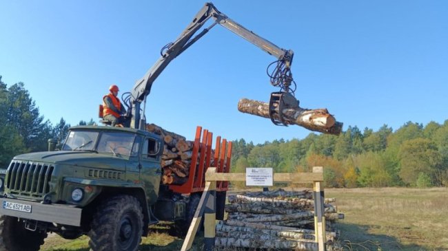 Скільки у лісництвах на Волині коштують дрова. ВІДЕО, ФОТО