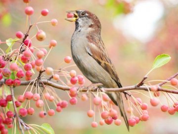 Погода в Луцьку та Волинській області на вівторок, 13 жовтня