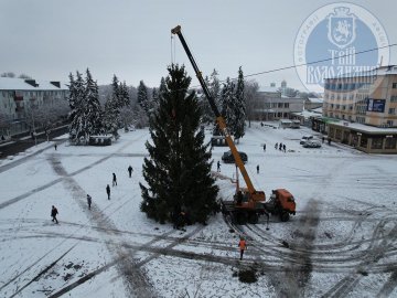 «Пошуки були довготривалі»: у Володимирі встановили «ідеальну» 15-метрову зелену красуню.ФОТО
