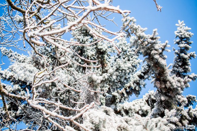 Луцьк – у кришталевій паморозі: казкові світлини різдвяного ранку. ФОТО