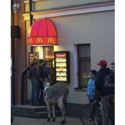 Абсурдне життя росіян. ФОТО