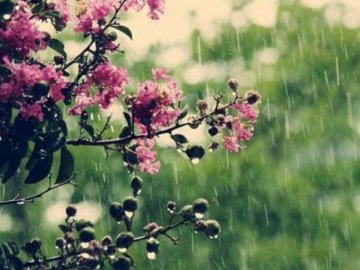 Українців попередили про грози і шквали