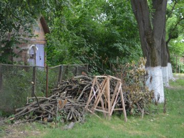 Тушки ворон і курячий послід: лучанин нарікає на безлад поблизу гуртожитків. ФОТО