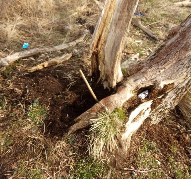 У Луцьку затримали 39-річного чоловіка, який збував психотропні речовини. ФОТО