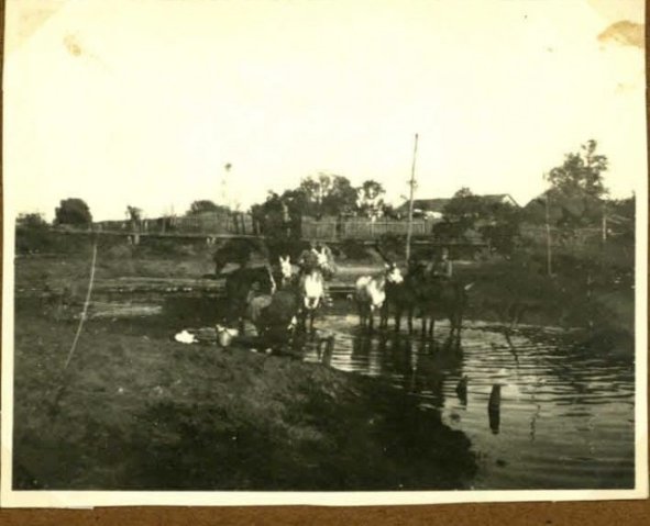 Опублікували цікаві фото селища Колки періоду Першої світової війни