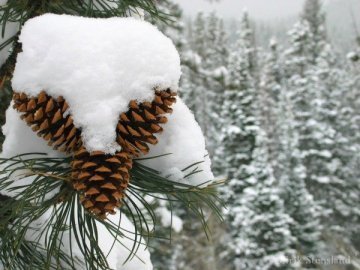 Погода в Луцьку та Волинській області на четвер, 2 березня