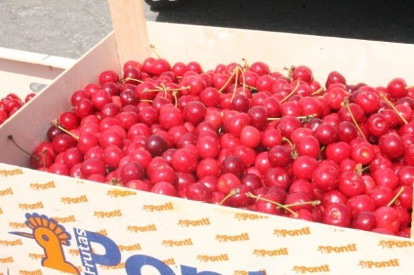 У Луцьку ‒ сільськогосподарський ярмарок. ФОТО