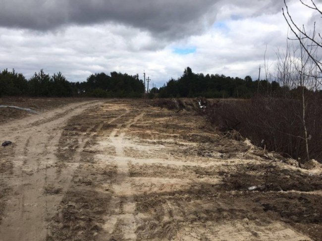 ДП «Поліське ЛГ», Куклинське лісництво, поблизу с. Кам’януха (біля кварталу 27) , фото «після»