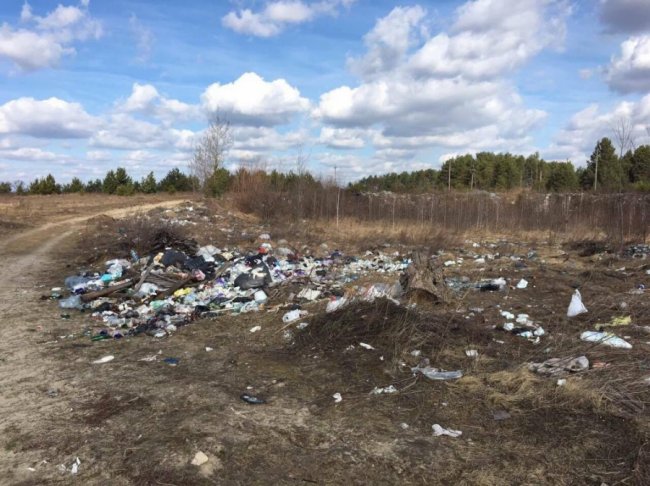 Лісівники Маневиччини ліквідували три сміттєзвалища. ФОТО «до» та «після»