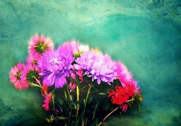 Фотовиставка Ольги Антонюк