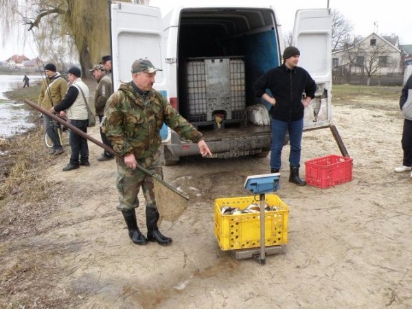 У Теремнівські ставки запустили 500 кілограмів риби. ФОТО