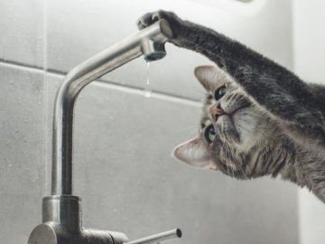 У районах Луцька, де є водопостачання, можуть бути перебої протягом дня