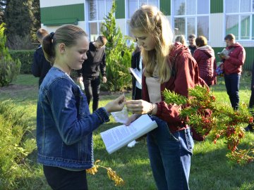 На Волині школярі заготовляли насіння рідкісних видів дерев. ФОТО