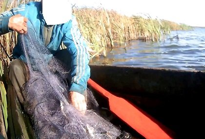 На волинському озері браконьєр наловив риби на 102 тисячі