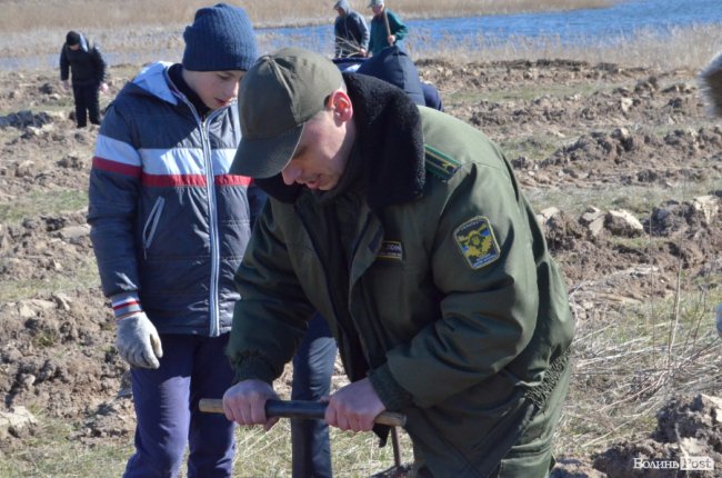 Екологічна акція у Промені, або Як у шквальний вітер народжувався новий ліс. ФОТО