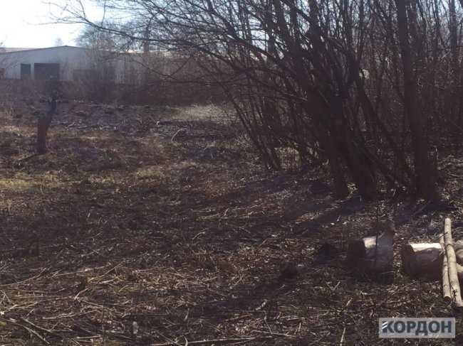 Волинянин через необережність з цигарками спалив хлів із дровами