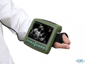 Де можна відремонтувати УЗД сканери та датчики для ветеринарії?*