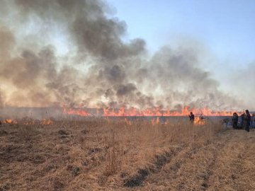 Волинські лісівники допомагають гасити пожежі в громадах