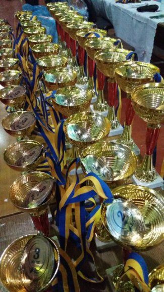 Волиняни перемогли на чемпіонаті з карате. ФОТО