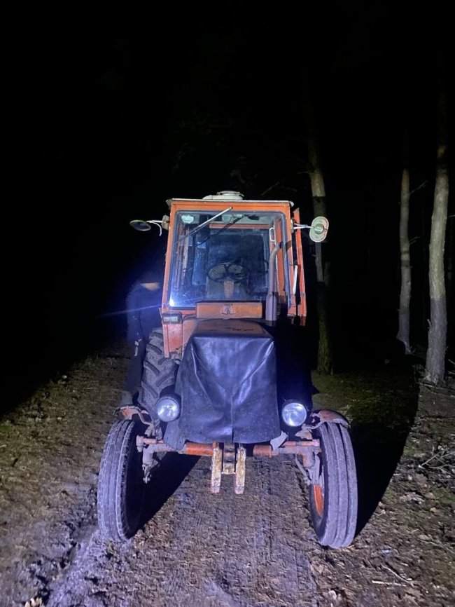 Затримали волинян, які незаконно вирубували дерева у прикордонні. ФОТО
