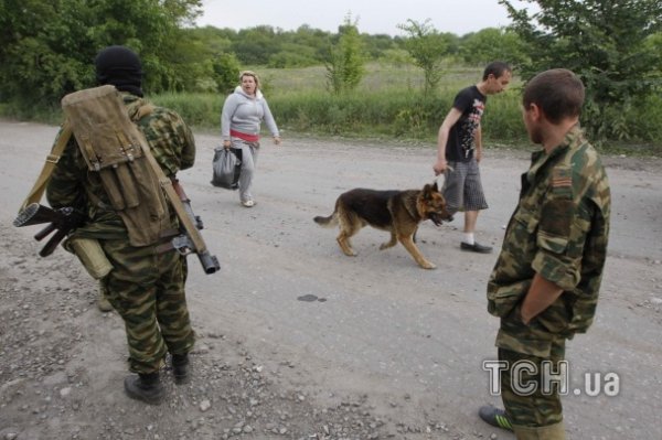 Терористи розташувались в окопах та сховали БМП у хащах. ФОТО