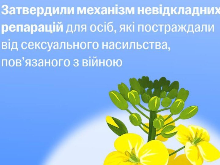 Уряд затвердив механізм невідкладних репарацій для постраждалих від сексуального насильства під час війни